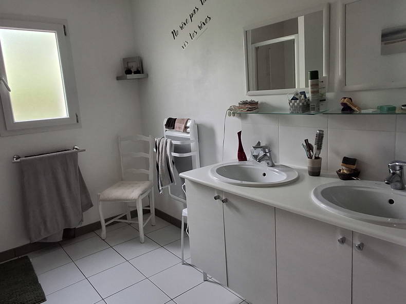 Kolokasie Pompaire 539552-5