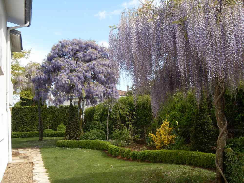 Chambre Chez L'habitant Melle 660082-1