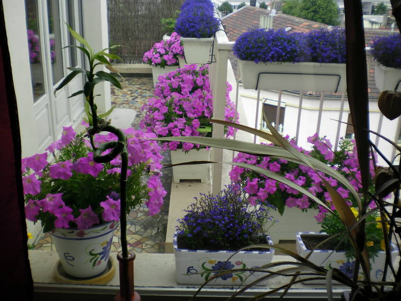 Quedarse En Casa Villeurbanne 228741-4