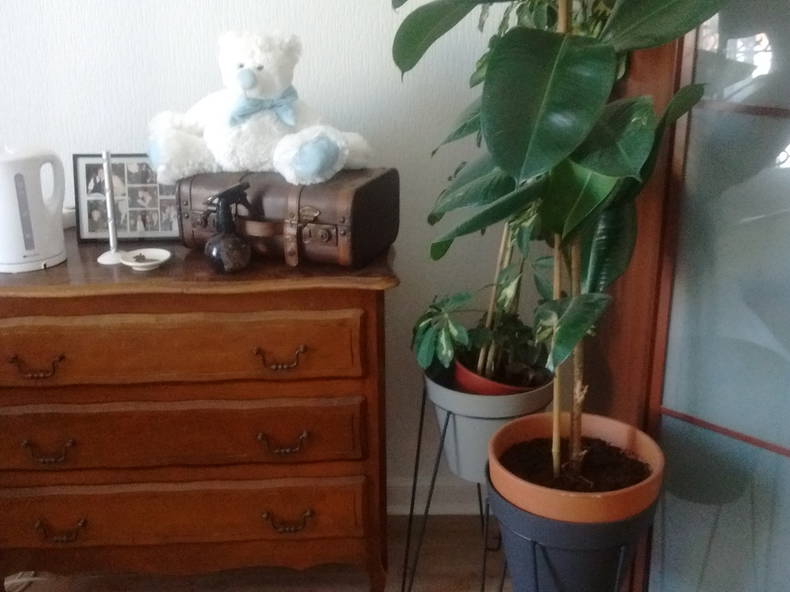 Zakwaterowanie U Rodziny Antibes 138814-3