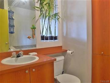 Chambre Chez L'habitant Montréal 262721-8