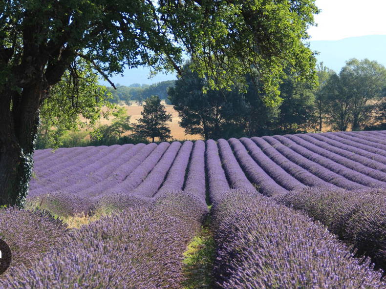 Gästezimmer Apt 594647-5