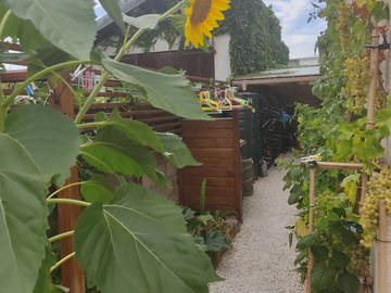 Chambre chez l'habitant à louer à Besançon - photo 4 : autre pièce-4