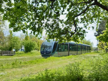 Chambre Chez L'habitant Pessac 232915-9