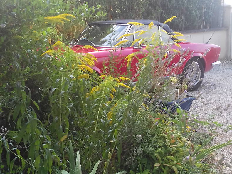 Homestay La Riche 261603-4