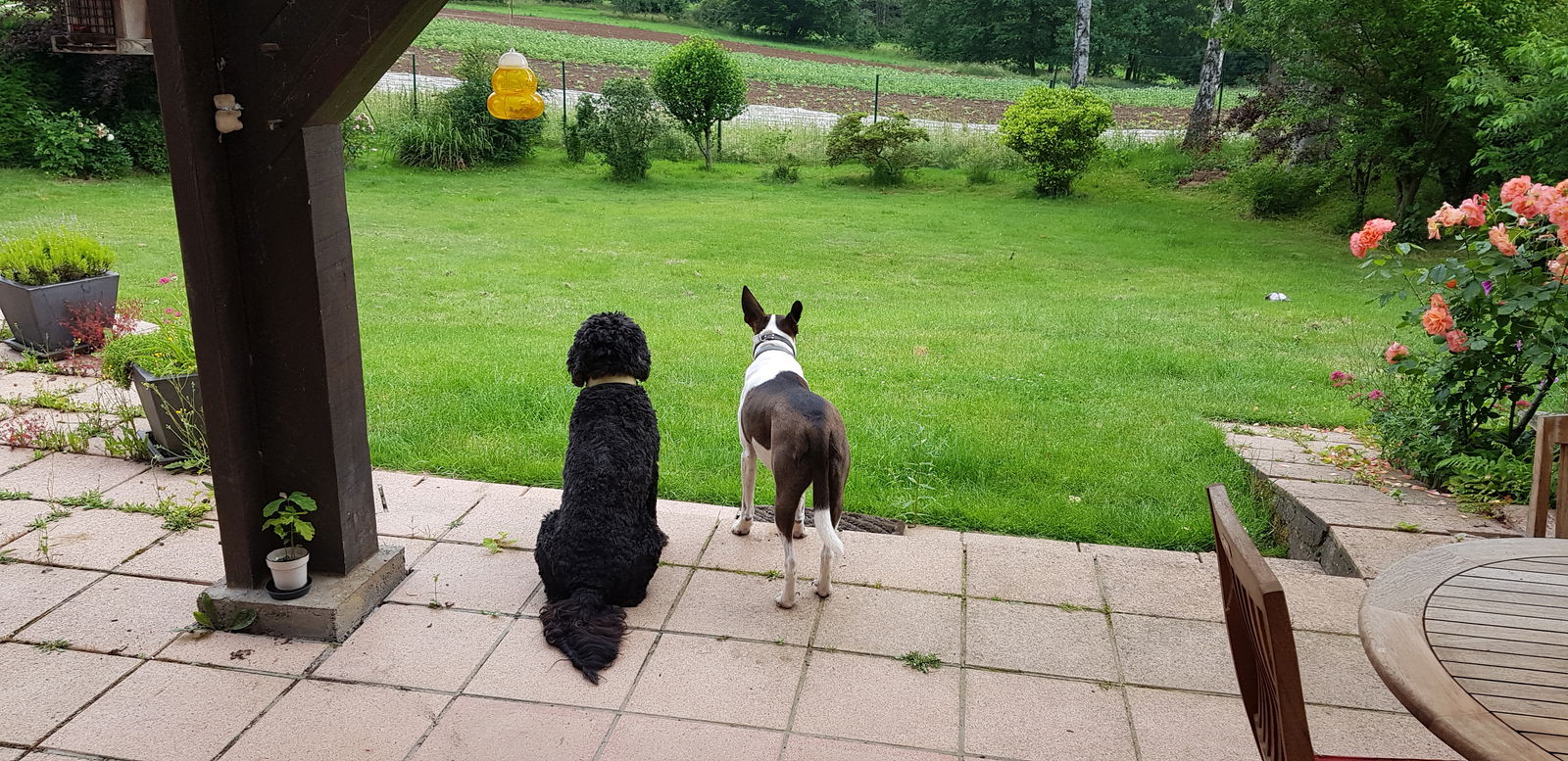 Gastfamilie Overijse 260474