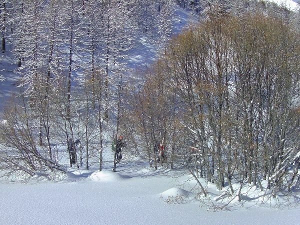 Homestay Briançon 15925