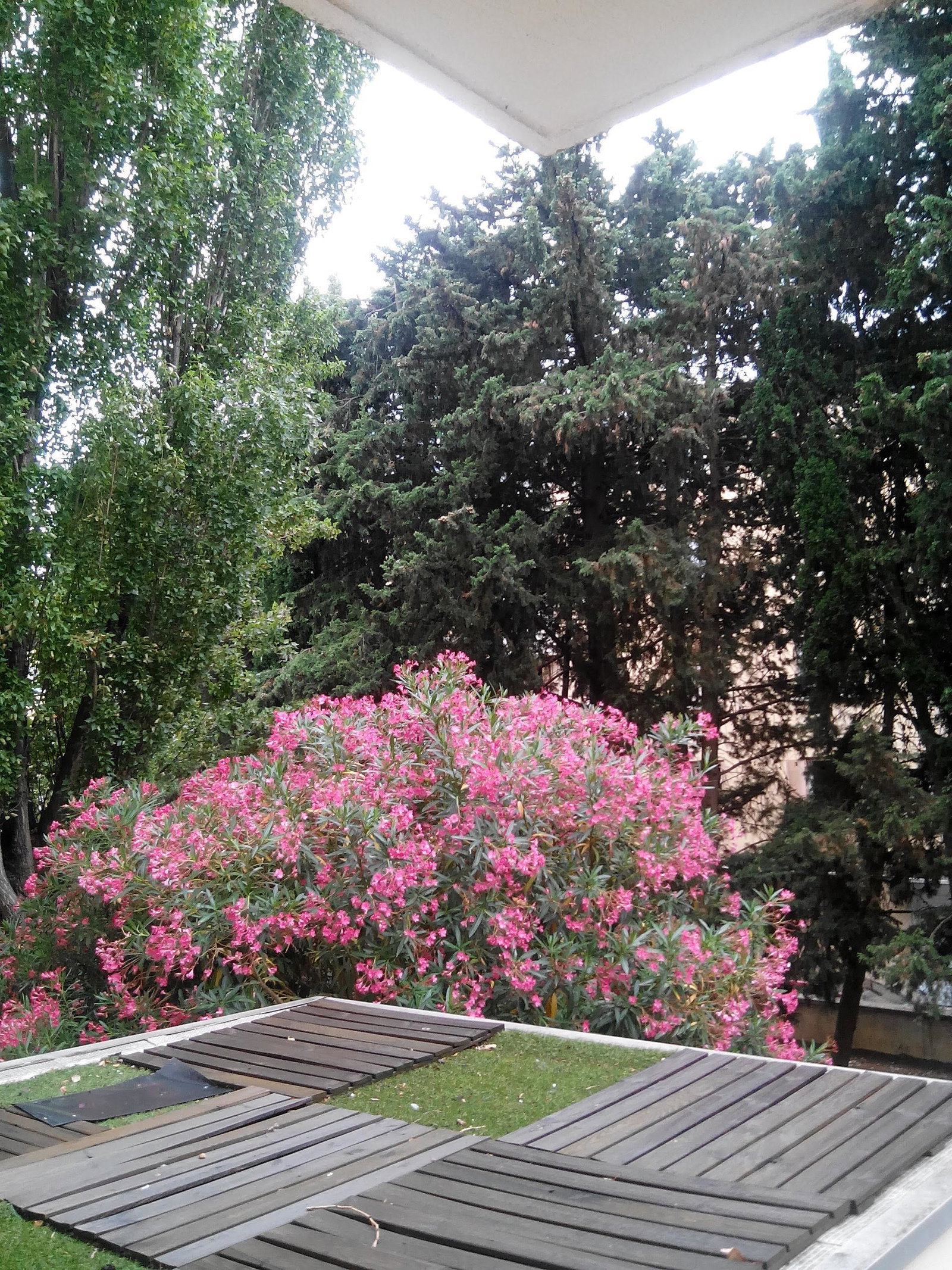 Chambre Chez L'habitant Montpellier 336588