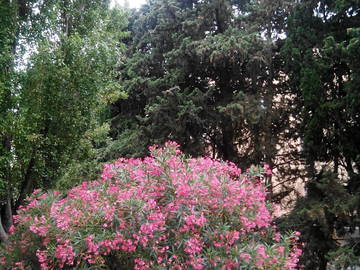 Gastfamilie Montpellier 336588-6