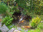 Gastfamilie Anglet 152972