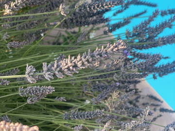 Chambre Chez L'habitant Éguilles 222416-3