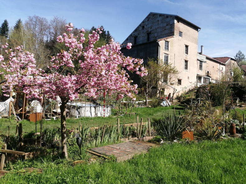 Gastgezin Xertigny 656199-3