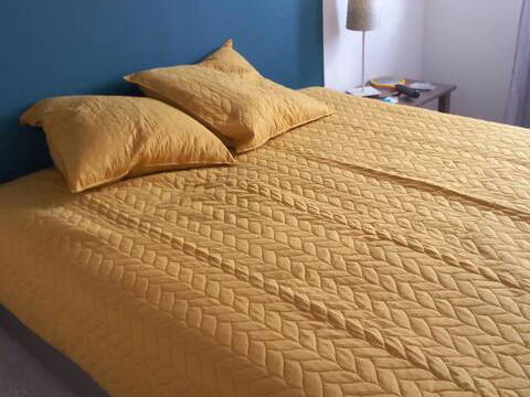 Homestay Saint-Ouen-d'Aunis 451301-1