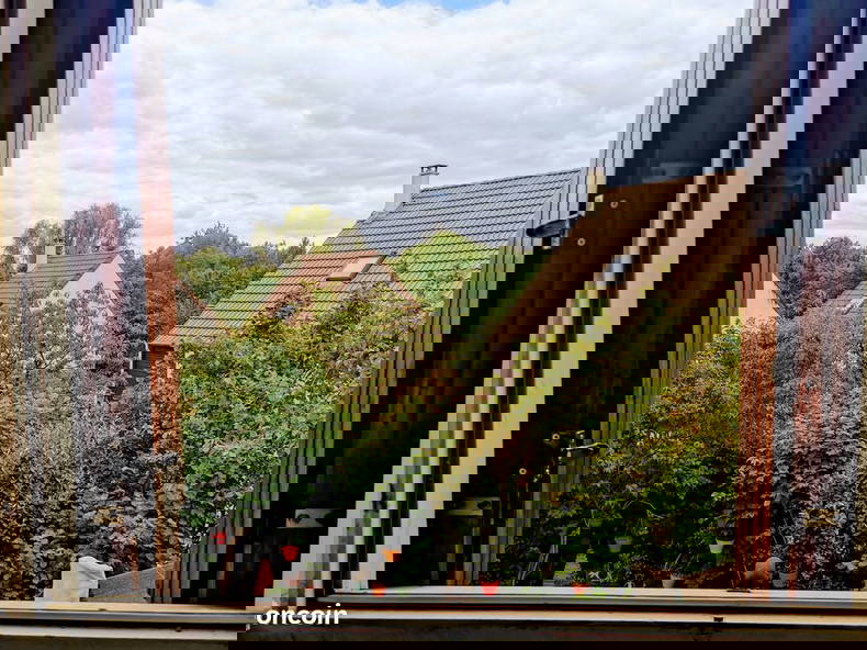 Gastfamilie Antony 308494-1