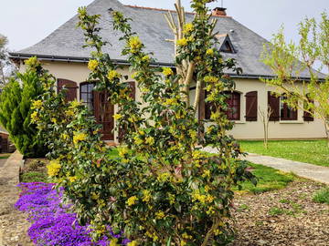 Chambre Chez L'habitant Montreuil-Bellay 545463