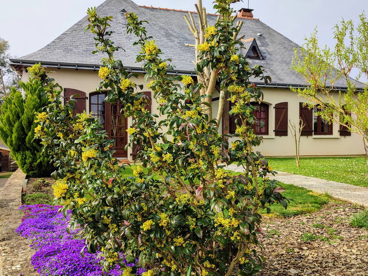 Chambre À Louer Montreuil-Bellay 545463