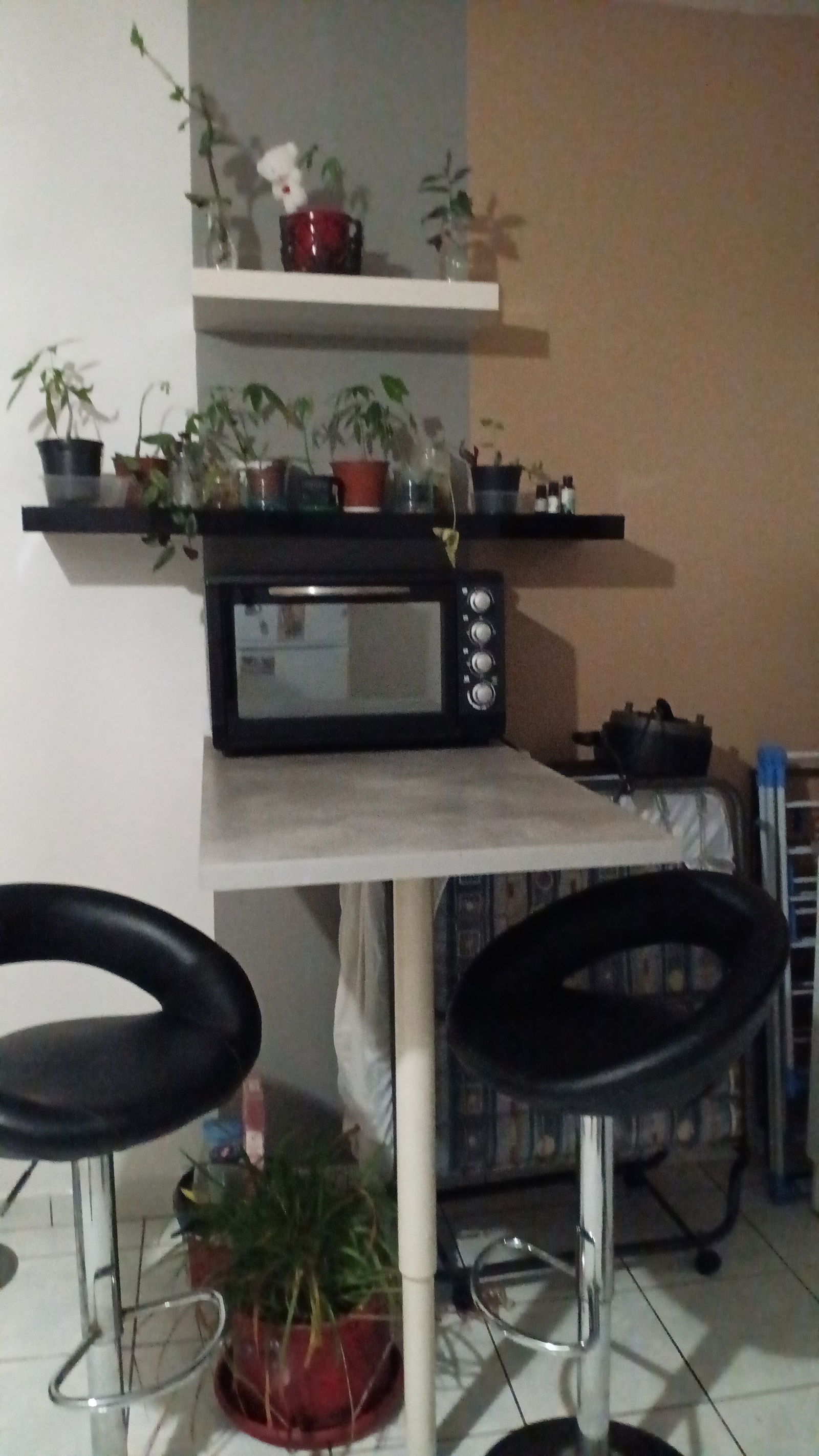 Chambre Chez L'habitant Saint-Paul 382550