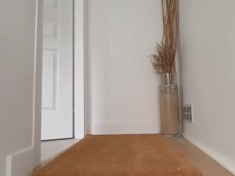 Homestay La Rochelle 439380-5