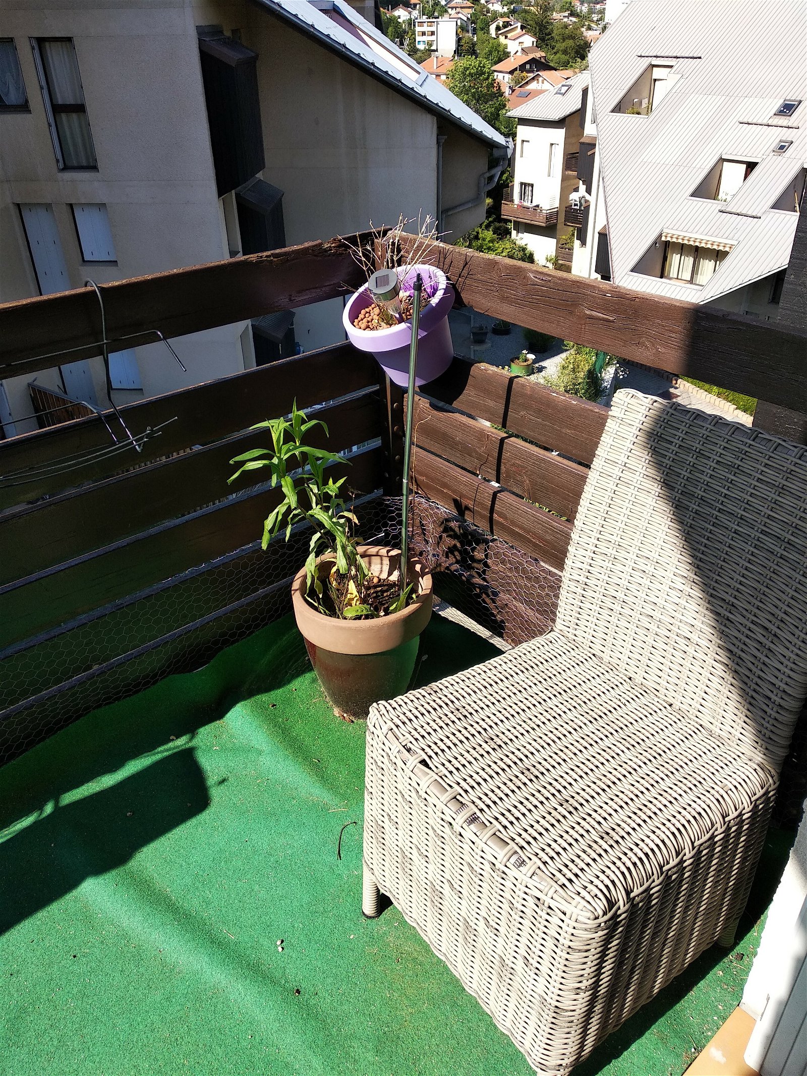 Homestay Gap 241123