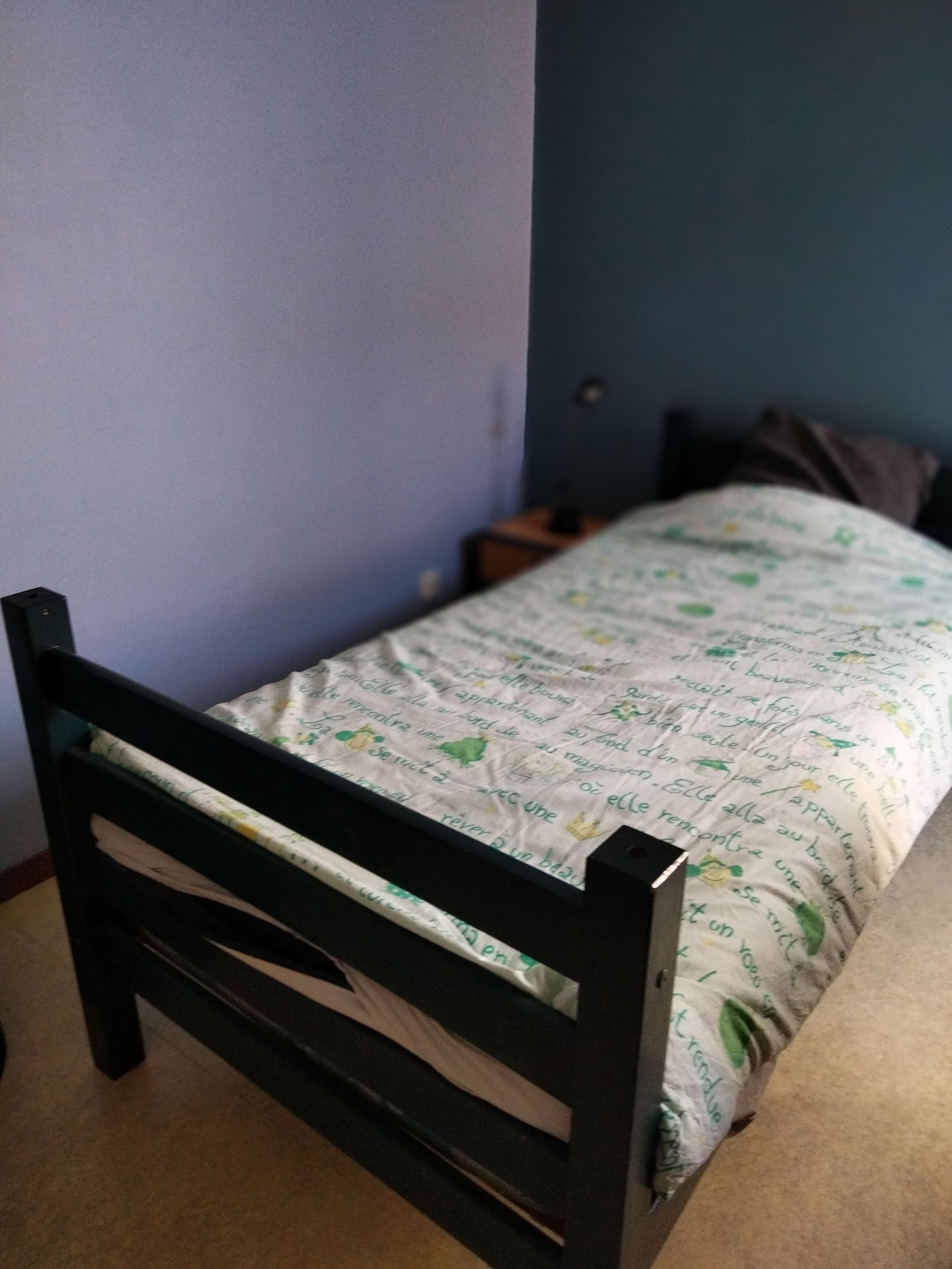 Chambre Chez L'habitant Lyon 253329