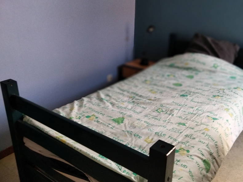 Chambre Chez L'habitant Lyon 253329-1