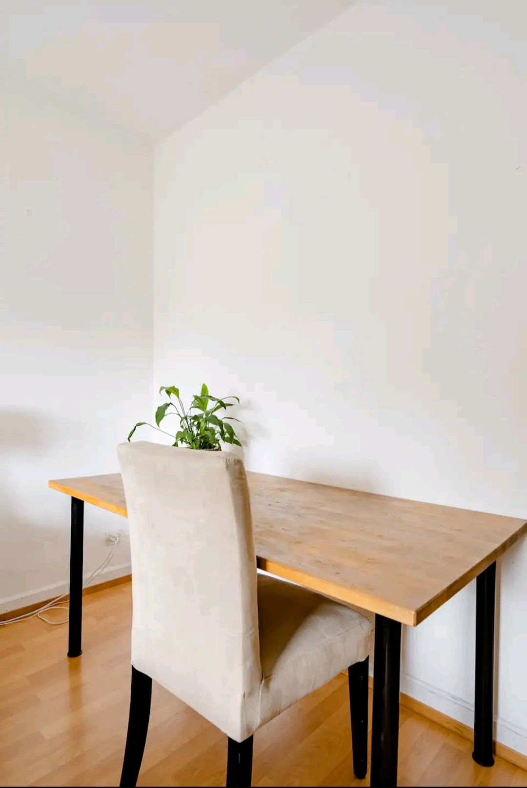 Chambre Chez L'habitant Morges 244652