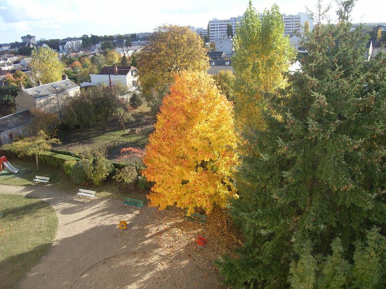 Chambre Chez L'habitant Orléans 116957-4