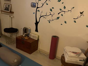 Chambre chez l'habitant à louer à Bron - photo 6 : autre pièce-6