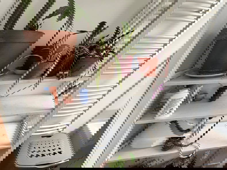 Gastgezin Décines-Charpieu 657373-3