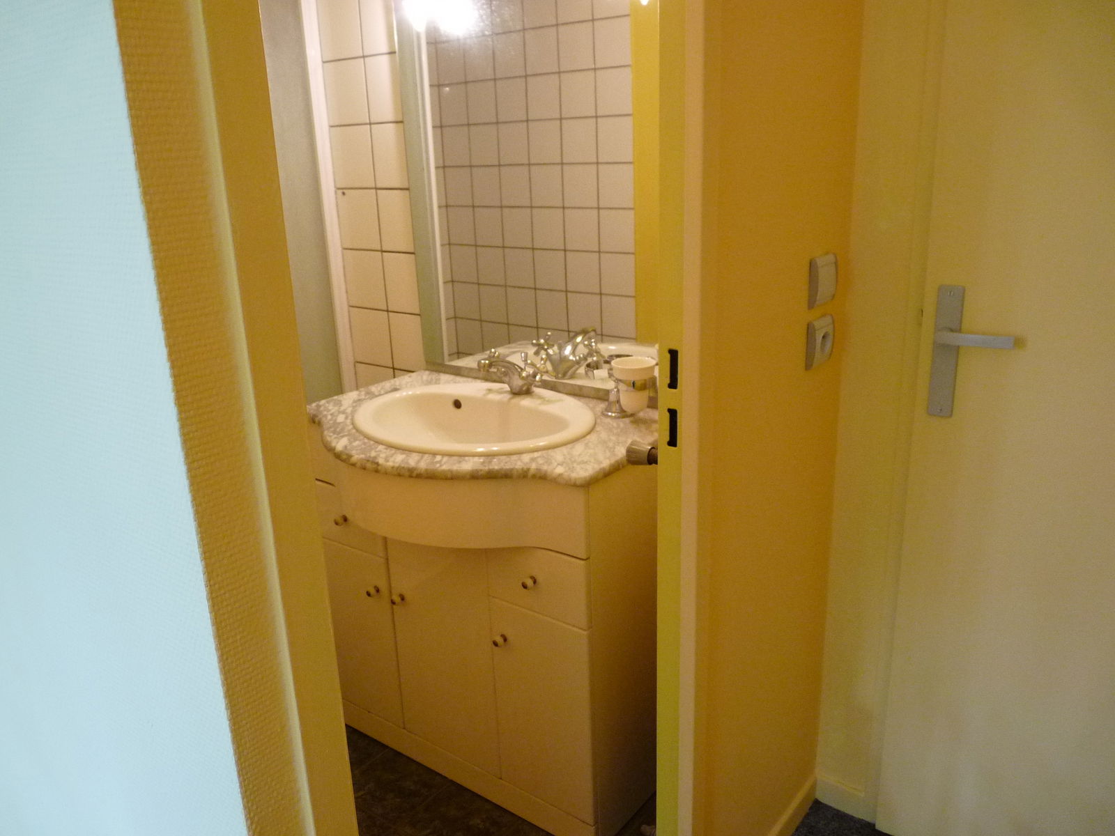 Chambre Chez L'habitant Villeurbanne 139473