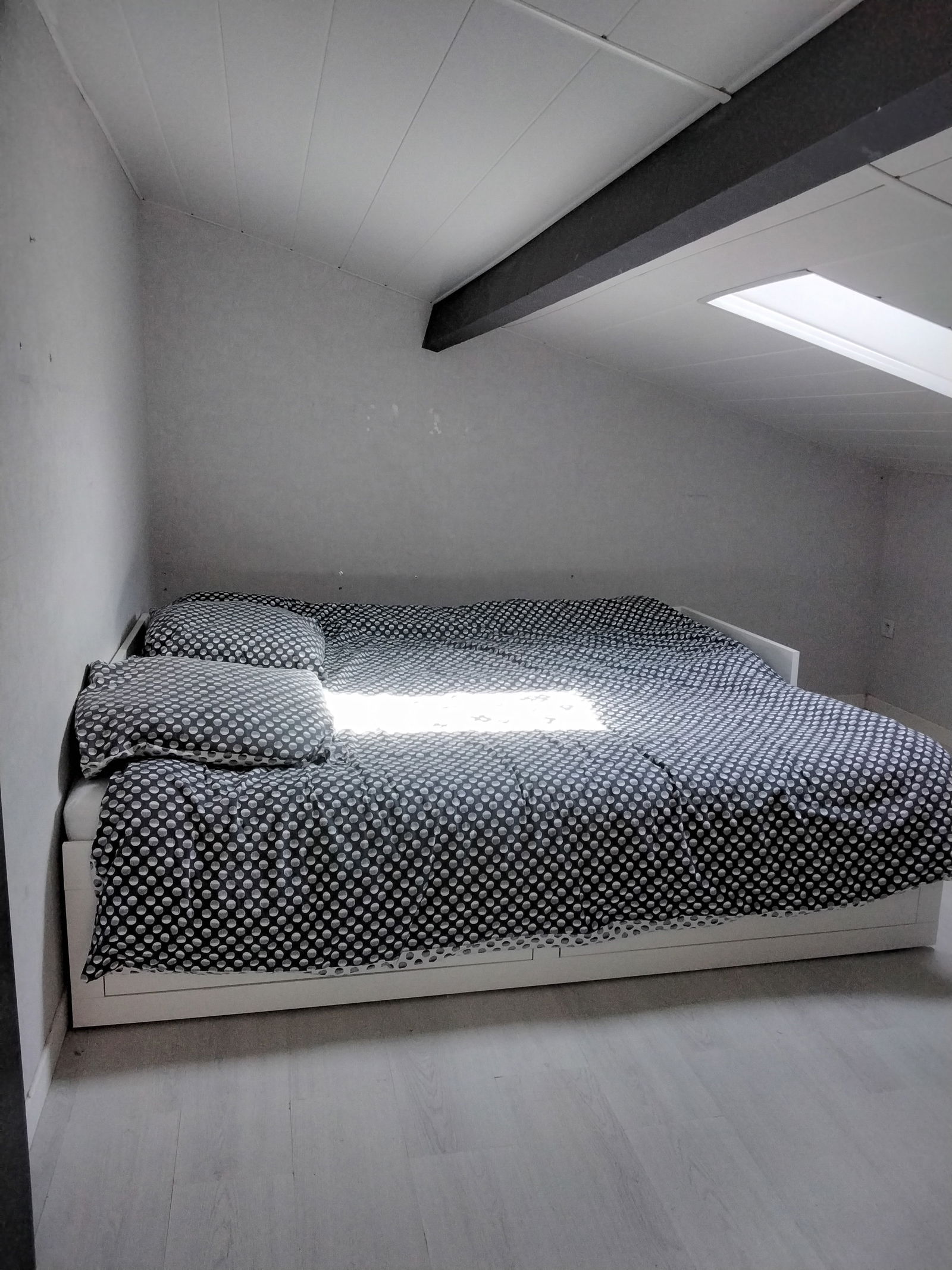 Chambre Chez L'habitant Roques 513705