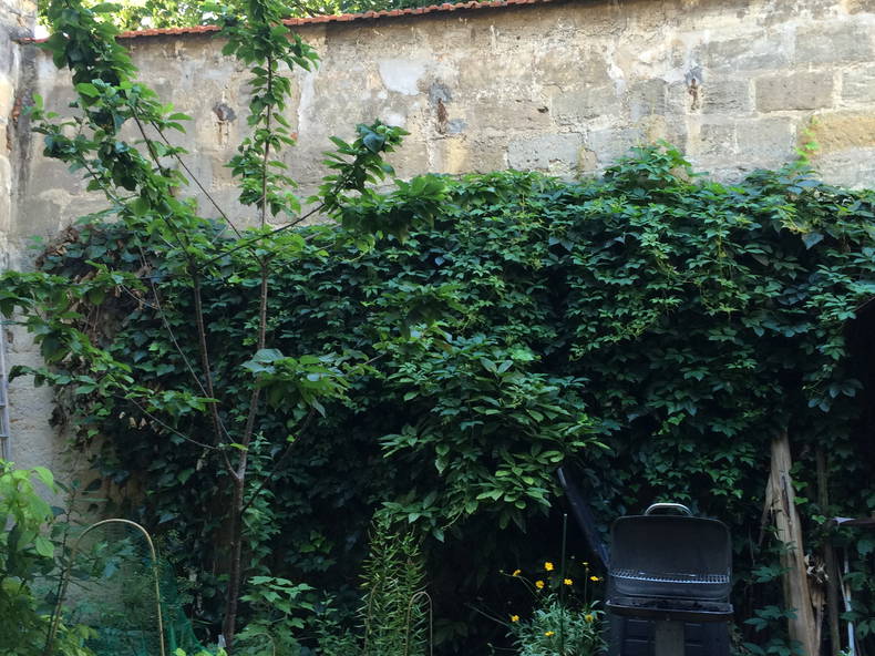 Gastfamilie Bordeaux 89033-3