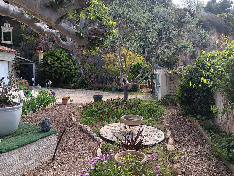 Homestay Carqueiranne 538812-5