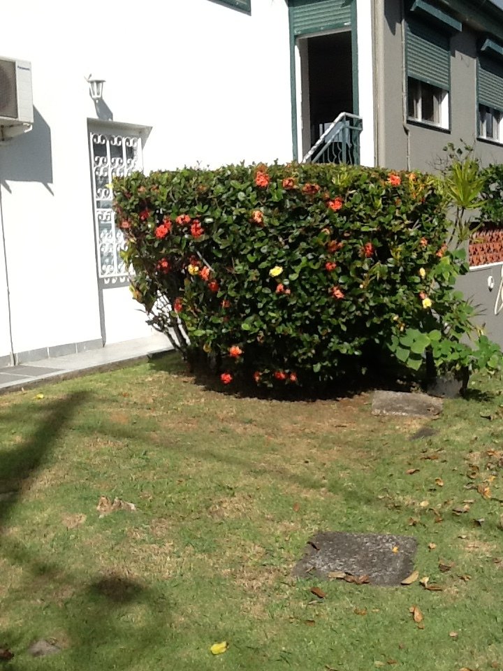 Chambre Chez L'habitant Fort-de-France 220161
