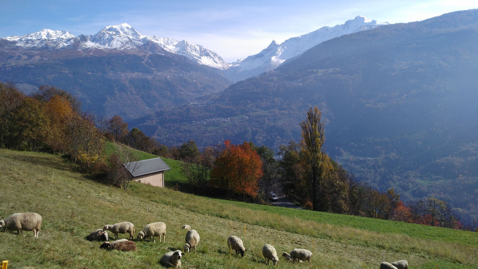 Chambre Chez L'habitant Valezan 141927