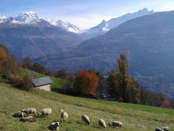 Chambre Chez L'habitant Valezan 141927-7