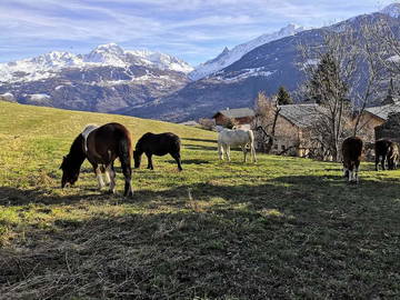 Chambre Chez L'habitant Valezan 141927-8