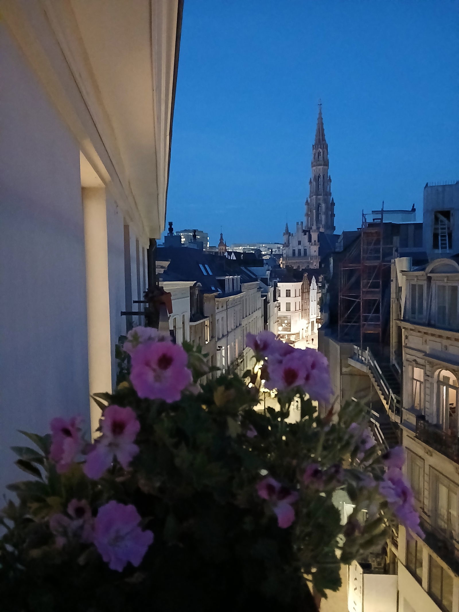 Chambre Chez L'habitant Bruxelles 441096