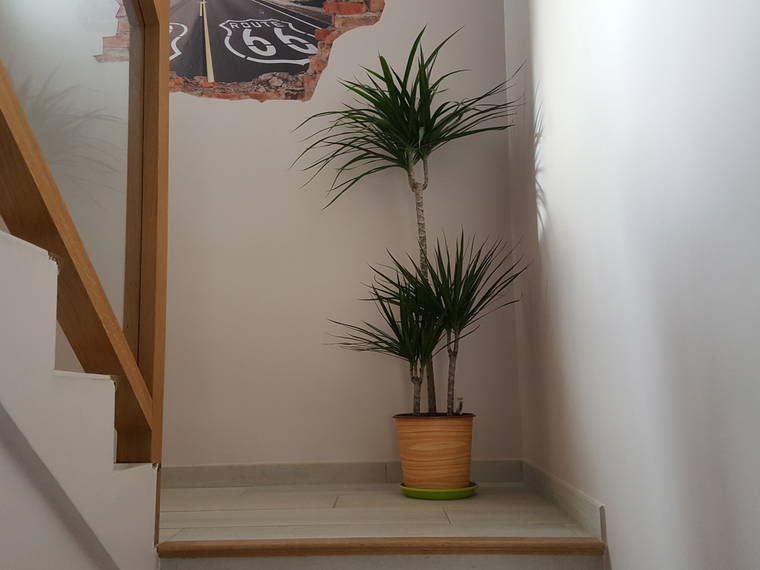 Homestay Saint-Georges-des-Coteaux 21708