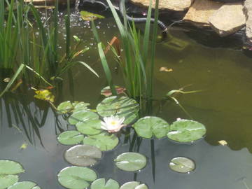 Colocation Canet 480704-8