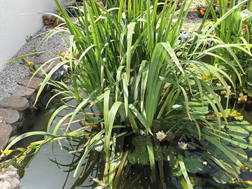 Colocation Canet 480704-18