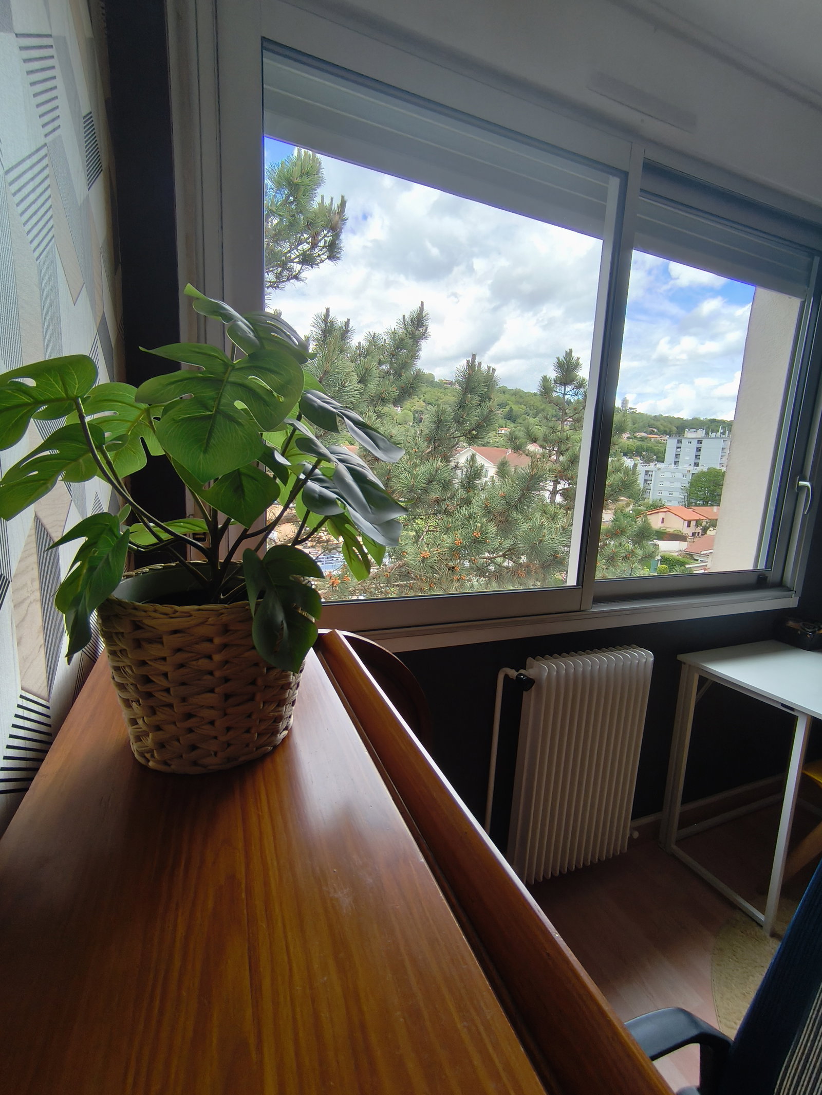 Chambre Chez L'habitant Miribel 483791