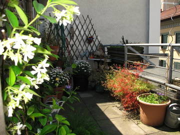 Bed And Breakfast Genève 36851-6