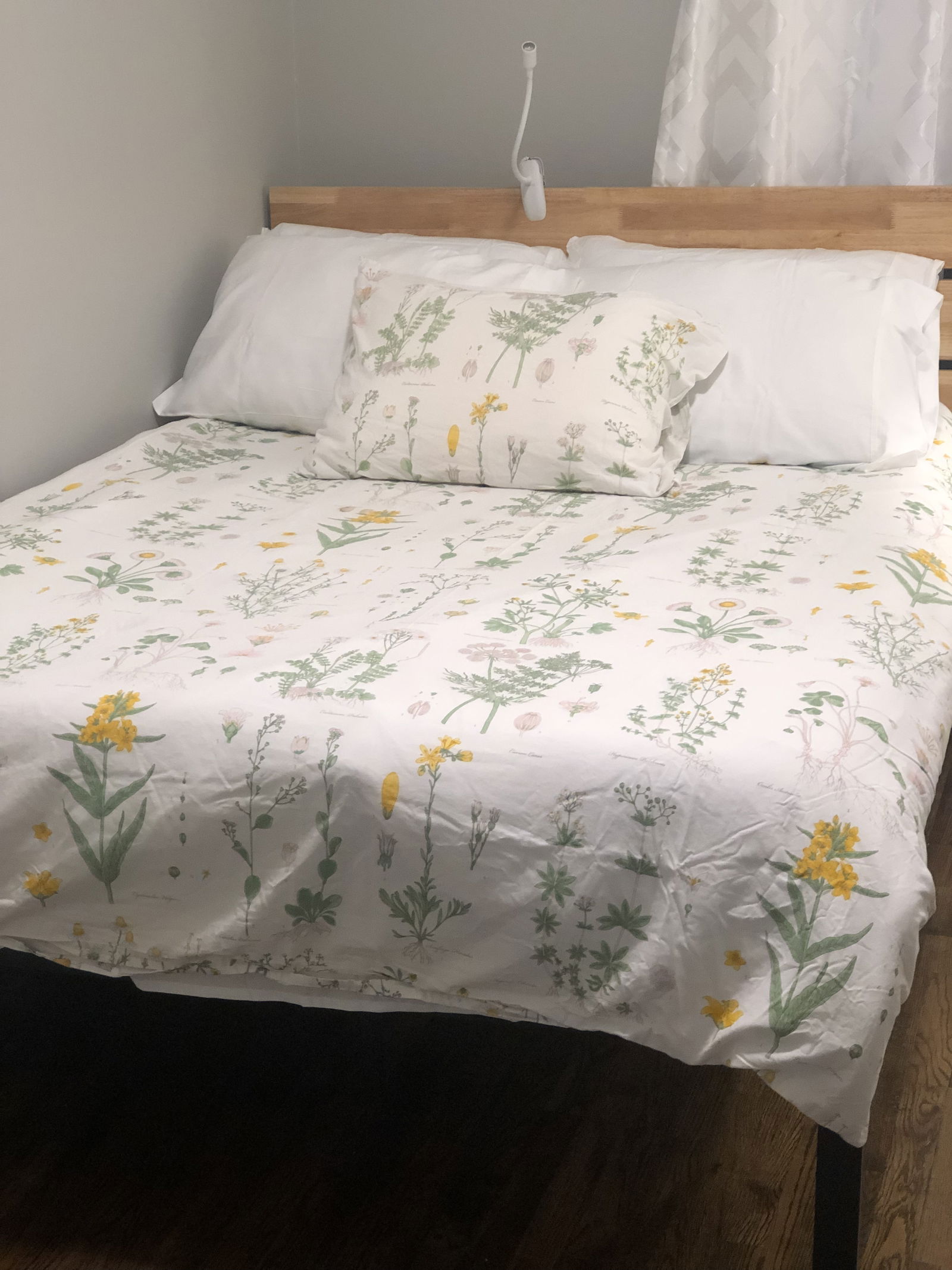 Chambre Chez L'habitant 10456 233164