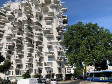 Chambre chez l'habitant à louer à Montpellier - photo 6 : autre pièce-6