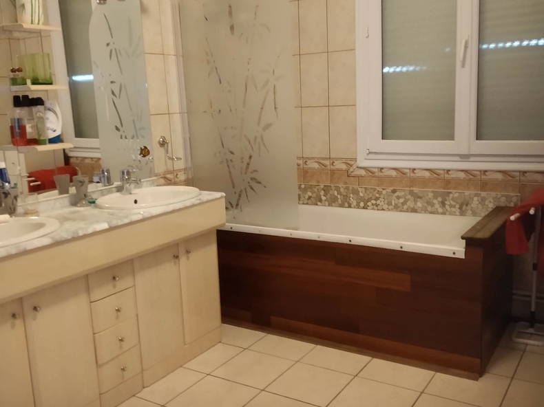 Colocatie Toulouse 170312-4