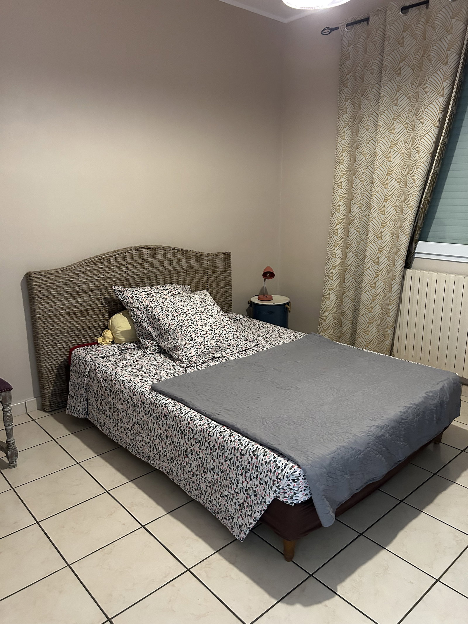 Colocation Toulouse 170312