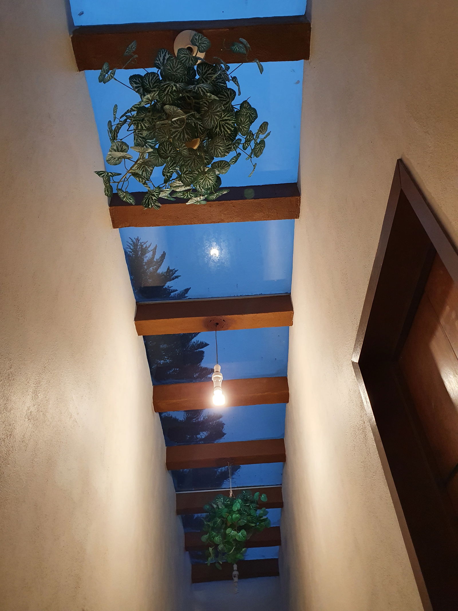 Chambre Chez L'habitant México D.F. 262281