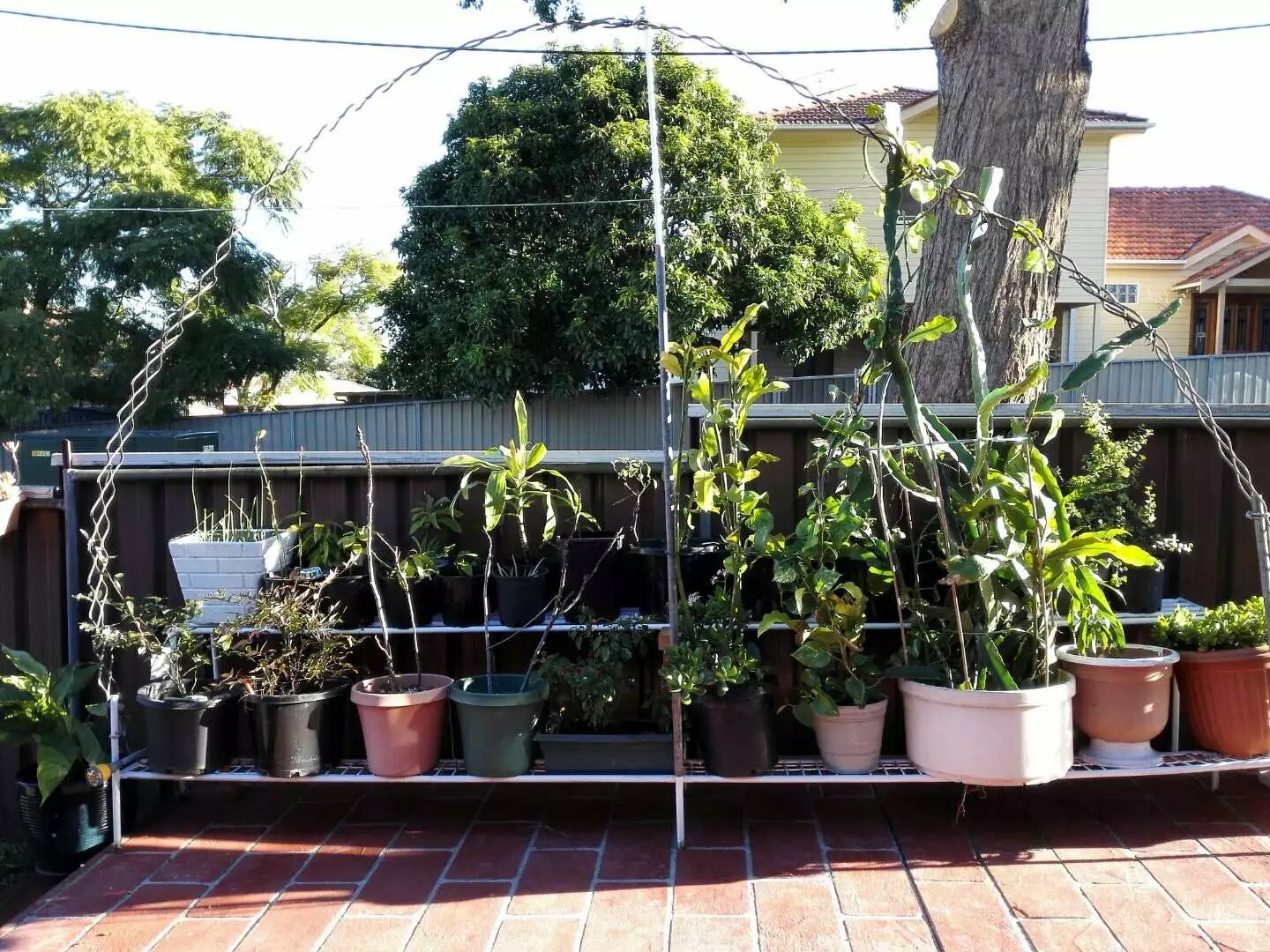 Logement Entier Hurstville Grove 150193