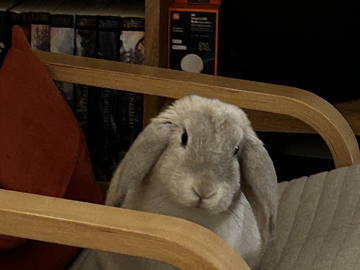 Chambre Chez L'habitant Châtillon 661489-10